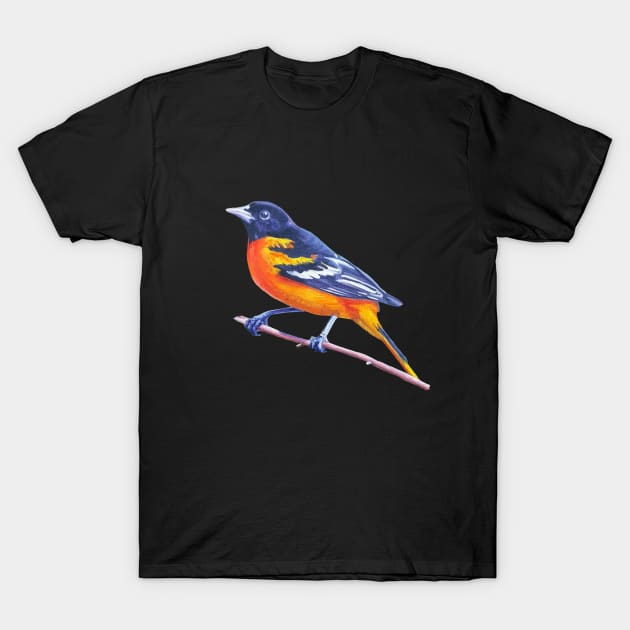 Baltimore Oriole - bird painting (no background) T-Shirt by EmilyBickell